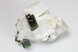 Green Elbaite Tourmaline Crystals in Quartz - Pakistan #175536-2
